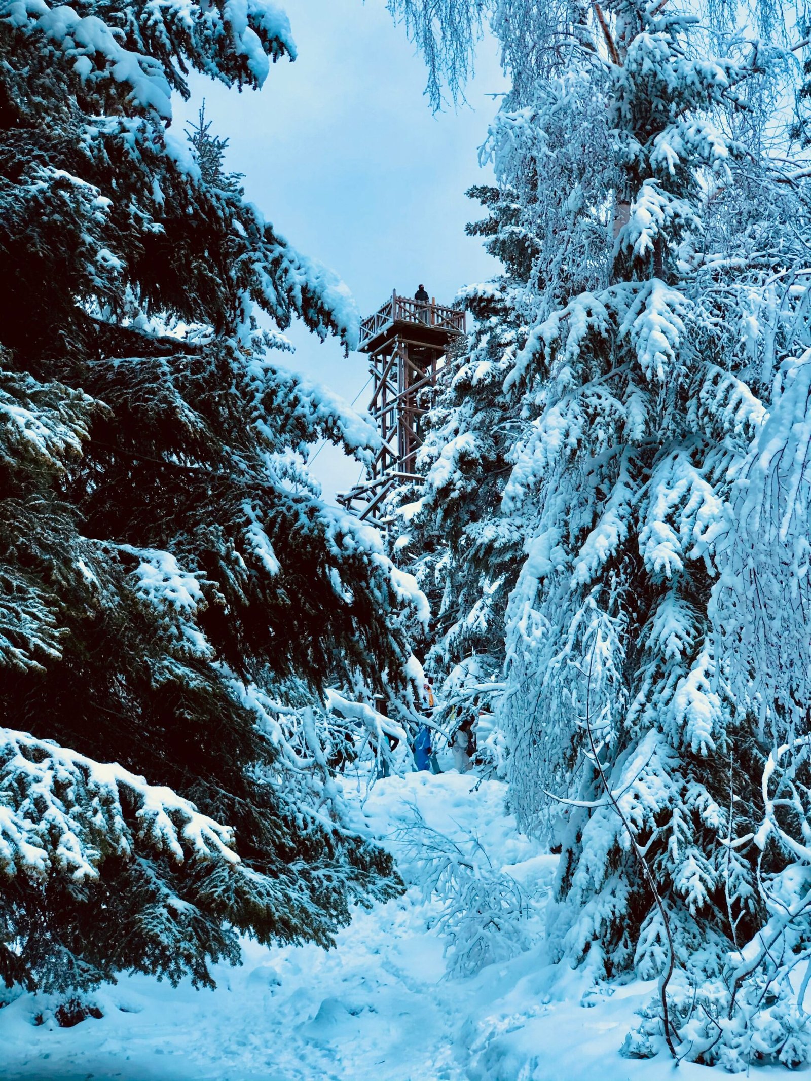 Point de vue de la tour de Mérelle à Gérardmer